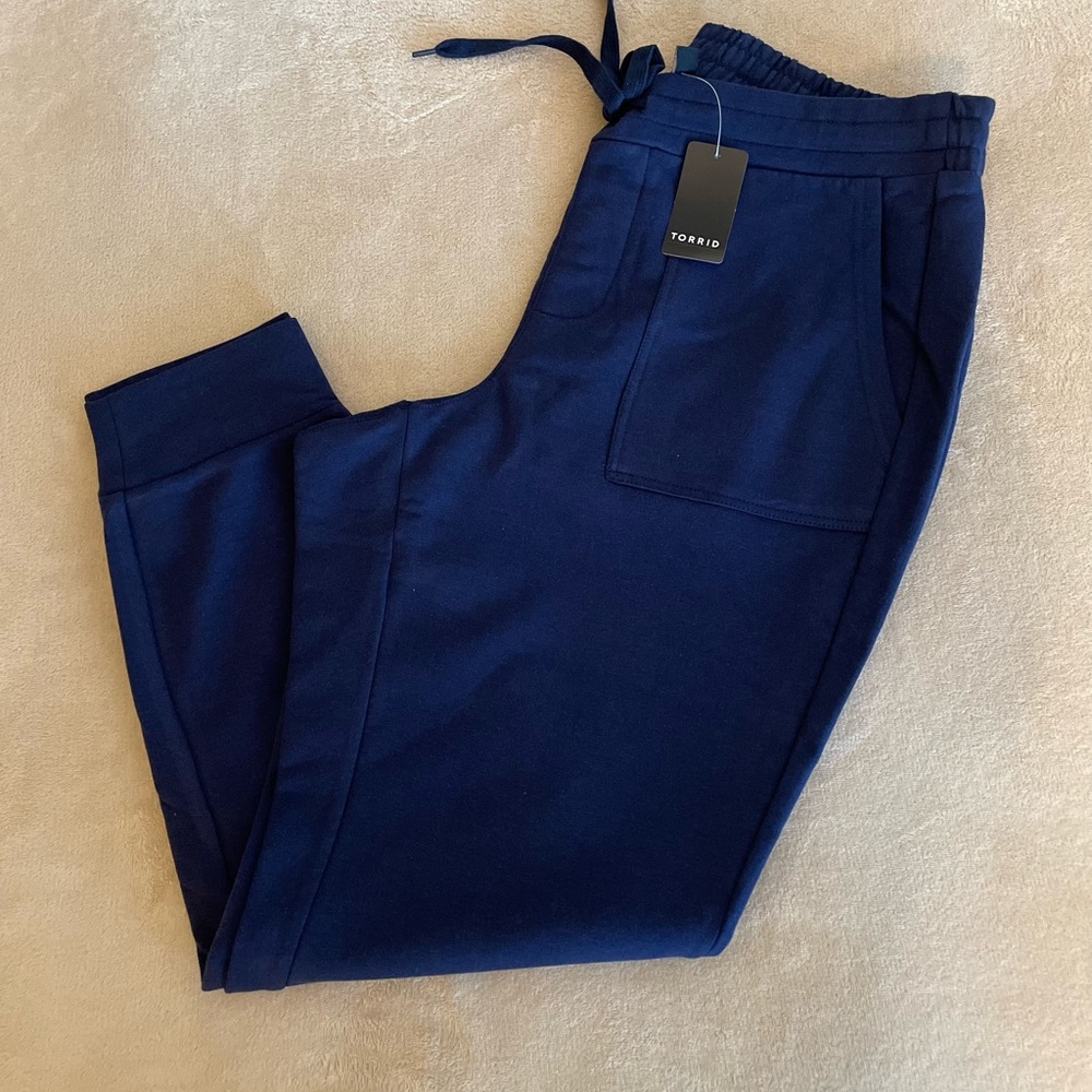 Torrid Ultra Soft Fleece Drawstring Jogger Pants - Size 1X - Picture 2 of 12